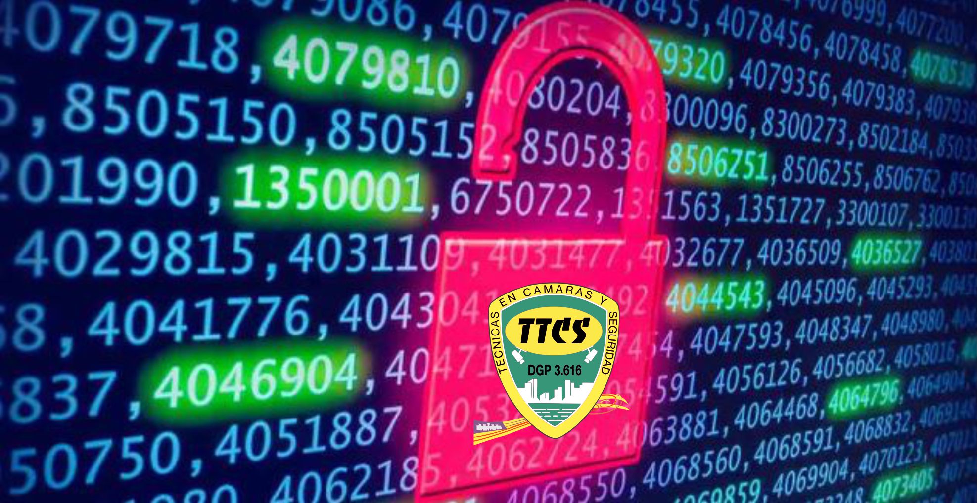 TTCS Seguridad camara web 2